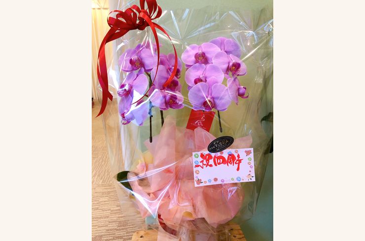 京都伏見整体整骨院