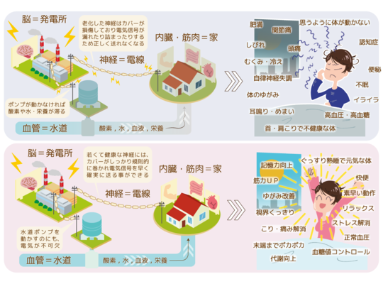 神経整体