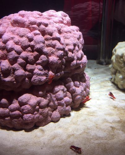 e6c2363f-4b77-4582-b1d1-8150a66a8cf5