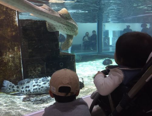 3adad06e-e256-4b8c-b5a4-c1f81a4eda07