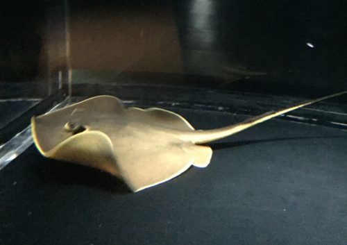 095bd3af-8f42-4fba-8ffb-9bd81ef3943c