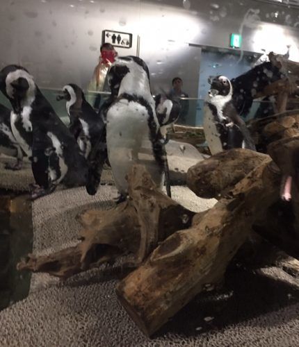 2de74f7d-7358-4d79-aee5-45951cec16e3